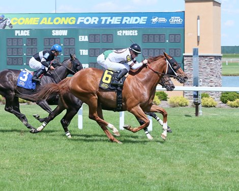 Aristomaches Win 2019 Allowance at Indiana Grand