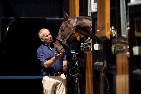 Champion sprinter Blue Point  at Dalham Hall Stud with groom Chris Jones<br><br />
Newmarket 11.7.19 