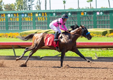 Gary and Mary West&#39;s Game Winner  and jockey Joel Rosario wins the $150,000 Los Alamitos Derby Saturday, July 13, 2019 at Los Alamitos Race Course, in Cypress, CA.<br><br />
Benoit Photo