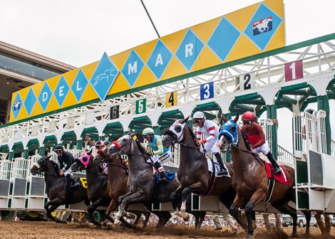 The Del Mar Thoroughbred Club kicked off it's 80th summer season Wednesday,  July 17, 2019 to the delight of thousands of fans and visitors.  Julius and jockey Rafael Bejarano, grey horse, won the first race of the meet  and returned $3.60 to his backers.  The seaside track in Del Mar, CA offers racing a Wednesday through Sunday schedule and will close  Labor Day Monday, Sept. 2nd.<br>
©Benoit Photo