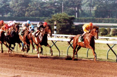 Forty-nine, Haskell Invitational Stakes, Monmouth Park, 1988