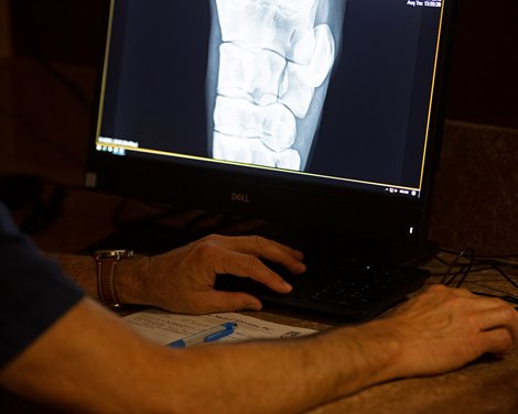 veterinarian reviews digital scans in repository<br>
Scenes at Fasig-Tipton Kentucky July HORA and Yearling sales on July 8, 2019, on Lexington, Ky.