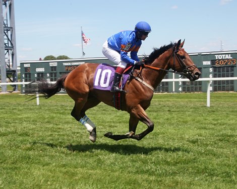 Optimus Prime #10 with Ross Geraghty riding won the 1 Mile and a half flat Allowance Turf Race at Parx Racing in Bensalem, Pennsylvania on July 1, 2019. Photo By Barbara Weidl /EQUI-PHOTO