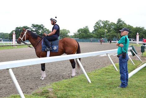 Trainer Jason Servis keeps a watchful eye on Maximum Security as rider Alvaro Tomas prepares to take the Morning Line favorite for Saturday&#39;s Haskell Invitational for a gallop on the track at Monmouth Park Racetrack in Oceanport, NJ on Thursday morning July 18, 2019
