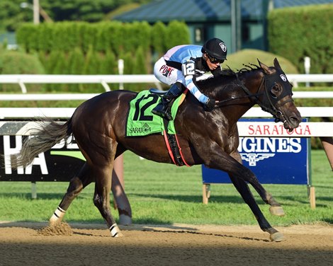 Shancelot wins 2019 Amsterdam Stakes at Saratoga