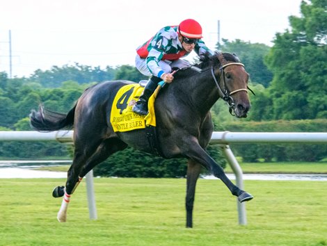 Gentle Ruler wins the 2019 Robert G. Dick Memorial