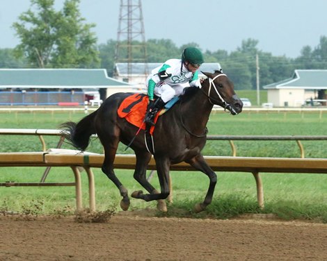 Green Destiny wins 2019 Ellis Park Debutante