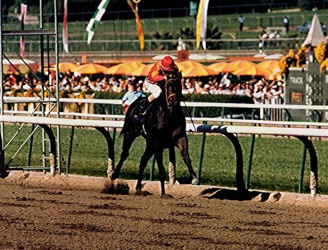 Brave Raj wins the 1986 Breeders' Cup Juvenile Fillies