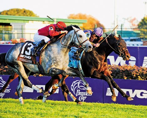 Court Vision wins the 2011 Breeders'  Cup Mile