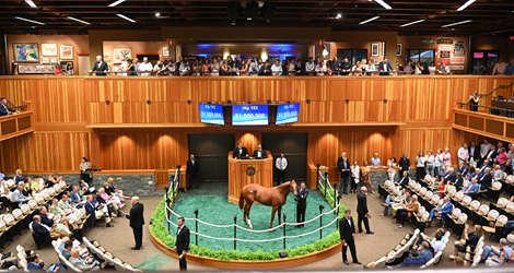 Hip 153, 2019 Fasig-Tipton Saratoga Selected Yearling Sale