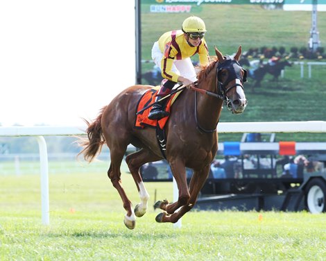 Hanalei Moon wins 2019 One Dreamer Stakes at Kentucky Downs