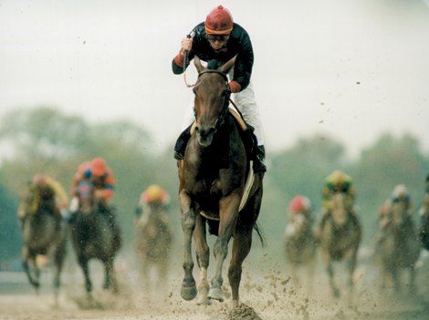 Inside Information wins the 1995 Breeders&#39; Cup Distaff