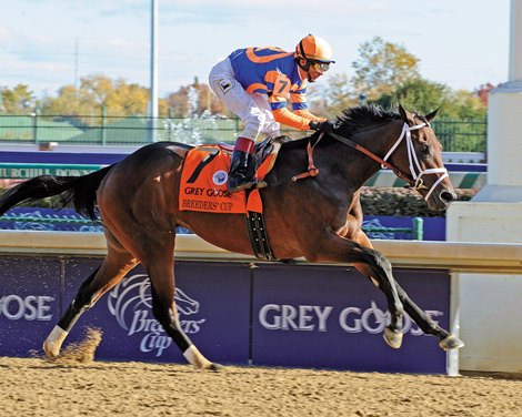 Uncle Mo wins the 2010 Breeders' Cup Juvenile