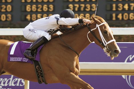 Dreaming of Anna wins the 2006 Breeders' Cup Juvenile Fillies