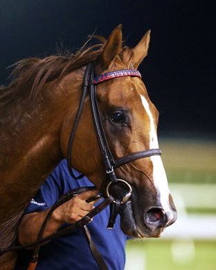 English Bee wins 2019 Virginia Derby at Colonial Downs