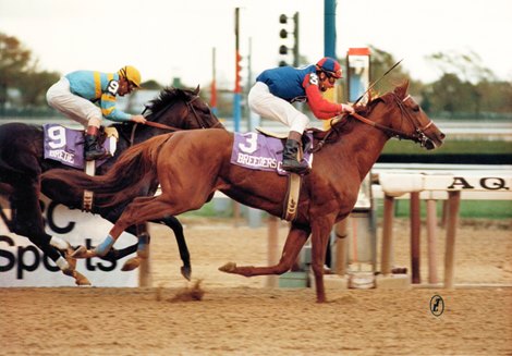 Precisionist hadn't run at 6 furlongs since January 1984, but he easily defeated a field of top sprinters and was named 1985 Champion Sprinter.