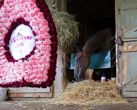 Concrete Rose on Aug. 4, 2019 in Saratoga Springs, N.Y. 