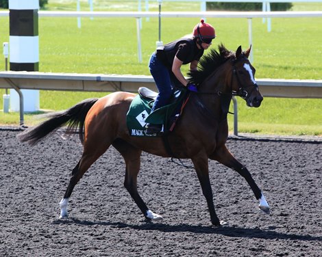 Magic Wand - Morning Gallop - Arlington Park - 080819