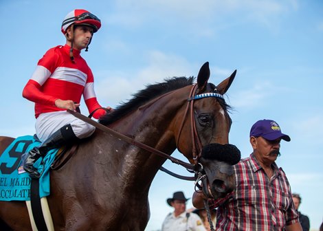 Acclimate and jockey Florent Geroux win the Grade II $250,000 Del Mar Handicap Saturday, August 17, 2019 at the Del Mar Thoroughbred Club in Del Mar, CA.<br><br />
&#169;Benoit Photo