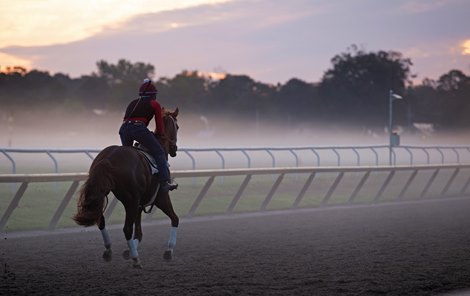 scene<br><br />
Saratoga mornings and NY Bred race day on Aug. 23, 2019 at Saratoga Race Course in Saratoga Springs, N.Y.