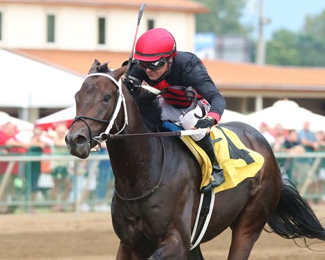 Rowdy Yates wins 2019 Ellis Park Juvenile 