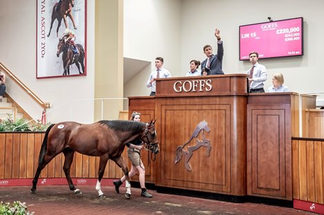 Lot 15 at 2019 Goffs UK Premier Yearling Sale