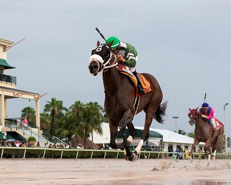 Lenzi&#39;s Lucky Lady wins the 2019 FTBOA Florida Sire Desert Vixen Stakes