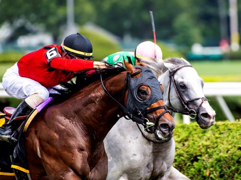 Leinster with jockey Tyler Gaffalione aboard out duels second place Pure Sensation to the wire to win the 16th running of The Troy at the Saratoga Race Course Saturday, Aug. 3, 2019 in Saratoga Springs, N.Y.  Photo Special to the Times Union by Skip Dickstein
