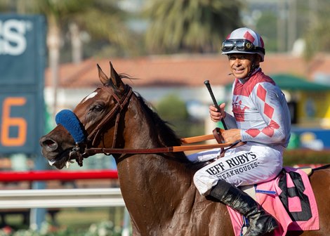 Jockey Mike Smith guides Been Studying Her to the winner&#39;s circle after their victory in the $100,000 Generous Portion Stakes, Wednesday, August 28, 2019 at Del Mar Thoroughbred Club, Del Mar CA.<br><br />
&#169; BENOIT PHOTO