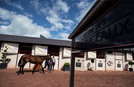 Ecurie des Monceaux’s yard at the Arqana August Yearling Sale in Deauville 18.08.2019