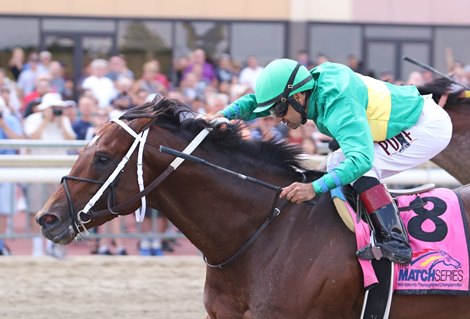 Engage #8 with Joe Bravo riding won the $100,000 Bensalem Stakes at Parx Racing in Bensalem, Pennsylvania on September 2, 2019