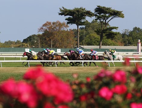 Justaholic #4 with Jose Ferrer riding rushes to the lead out of the gate and wires the field in the $100,000 Rainbow Heir Stakes at Monmouth Park Racetrack in Oceanport, NJ on Saturday September 28, 2019. Photo By Bill Denver/EQUI-PHOTO.