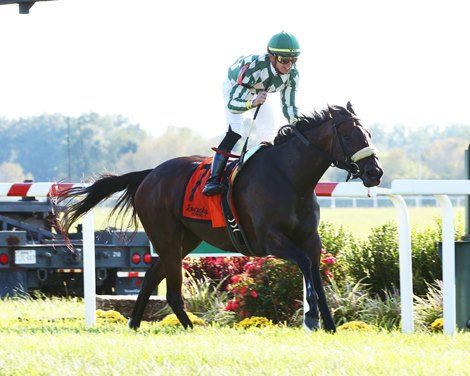 Morticia wins the 2019 Spendthrift Farm Ladies Sprint Stakes at Kentucky Downs