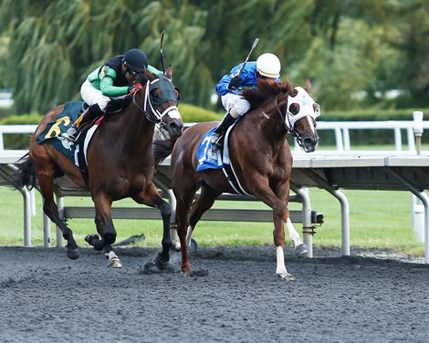 Golden Dragon - AOC, Arlington Park, September 13, 2019