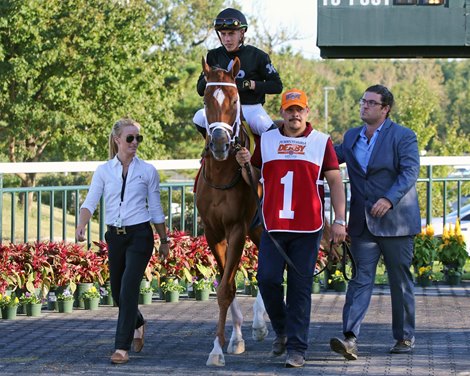 Math Wizard in the paddock prior to winning the 40th Running of the Pennsylvania Derby (GI) at Parx on September 21, 2019