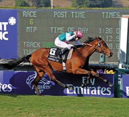 Midday and Thomas Queally wins the 2009 Breeders&#39; Cup Filly &amp; Mare Turf.