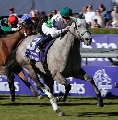 Augustin Stable's Forever Together wins the Emirates Airlines Breeders' Cup Filly & Mar Turf October 24, 2008.