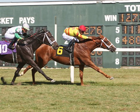 Pumpkin Rumble #6 with Luis Saez riding won the $100,000 Alphabet Soup Handicap at Parx Racing in Bensalem, Pennsylvania on September 21, 2019.  Second place Saratoga Jack #10 with Irad Ortiz, Jr. riding. 