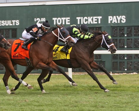 Dynatail #4 with Christopher P. DeCarlo riding won the $100,000 Salvatore M. DeBunda PTHA Presidents Cup at Parx Racing in Bensalem, Pennsylvania on September 2, 2019. Photo By Barbara Weidl /EQUI-PHOTO