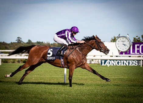 Magical and Ryan Moore win the QIPCO Irish Champion Stakes (Group 1).<br><br />
Leopardstown<br><br />
14.09.2019<br><br />
