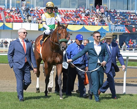 Yorkton with Patrick Husbands wins Bold Venture Stakes (G3)<br><br />
at Woodbine.