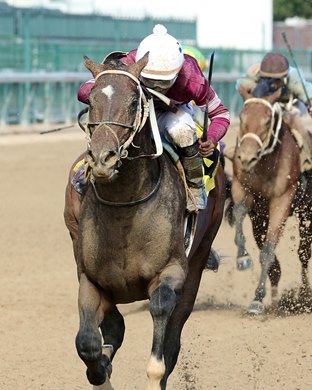 Relentless Dancer and Silver State finish in a deadheat in Race 8 at Churchill Downs on September 27, 2019, MSW