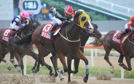 Blue Chipper wins the 2019 Korea Sprint