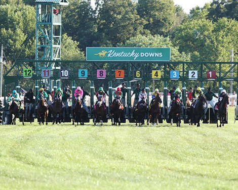 What kind of slot machines are at kentucky downs handicappers