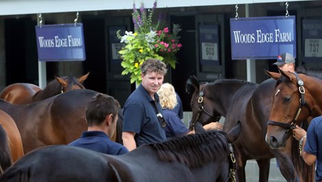 Peter O’Callaghan, Scenics, 2019 Keeneland September Sale