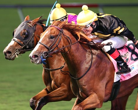 English Bee; Jorge Vargas Jr., New Kent County Virginia Derby, G3T, Colonial Downs, August, 31, 2019