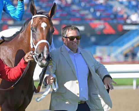 Kevin Attard walks Starship Jubilee after winning Canadian (G2)<br><br />
at Woodbine.