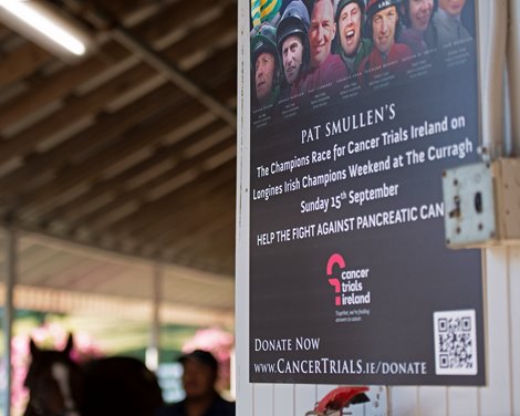 Campaign sign for fight against cancer with Pat Smullen<br><br />
at the Keeneland September Sale.