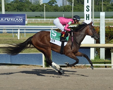 Two Sixty wins the 2019 FTBOA Florida Sire My Dear Girl Stakes at Gulfstream Park                             