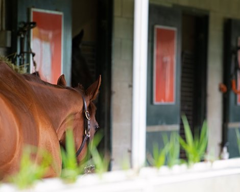 PInk Lloyd<br><br />
at Woodbine.